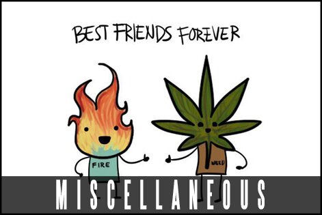 Miscellaneous Stoner Gallery