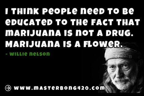 Willie Nelson Marijuana Quote