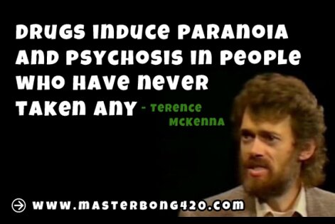 Terence McKenna Marijuana Quote