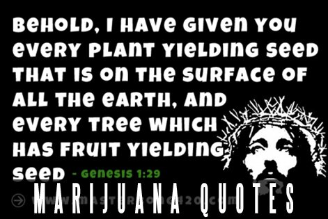 Marijuana Quotes Gallery