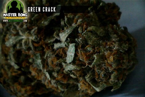 Green Crack