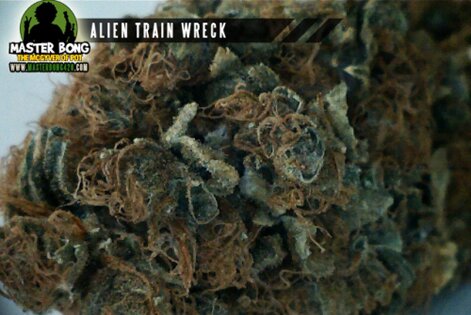 Alien Train Wreck