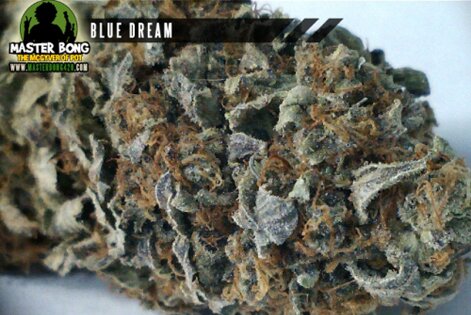 Blue Dream