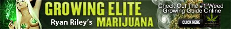Grow Elite Marijuana Grow Elite Marijuana