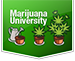 Learn how to grow weed Learn how to grow weed